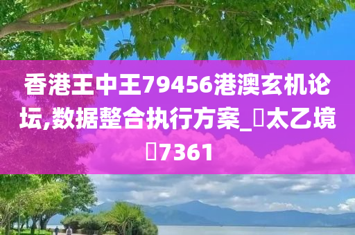 香港王中王79456港澳玄机论坛,数据整合执行方案_‌太乙境‌7361