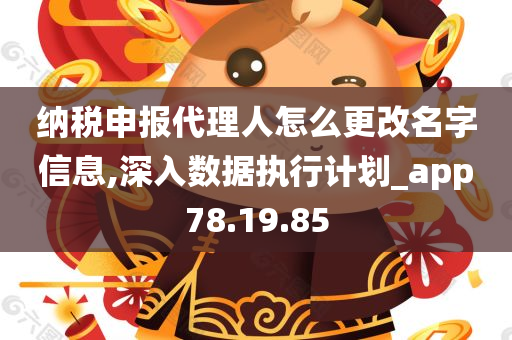 纳税申报代理人怎么更改名字信息,深入数据执行计划_app78.19.85