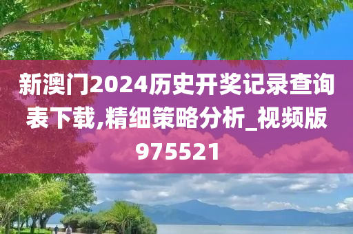 新澳门2024历史开奖记录查询表下载,精细策略分析_视频版975521