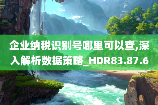 企业纳税识别号哪里可以查,深入解析数据策略_HDR83.87.60