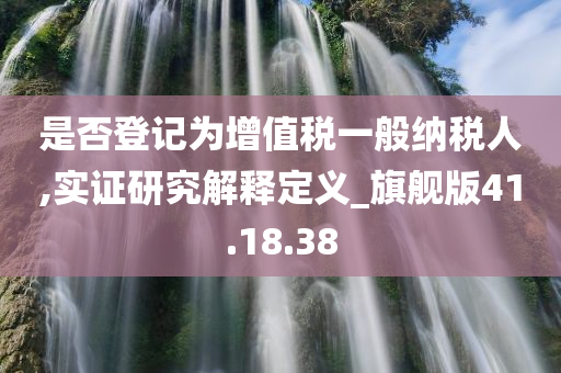 是否登记为增值税一般纳税人,实证研究解释定义_旗舰版41.18.38