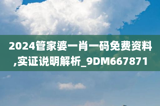 2024管家婆一肖一码免费资料,实证说明解析_9DM667871