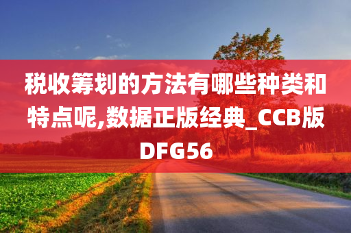 税收筹划的方法有哪些种类和特点呢,数据正版经典_CCB版DFG56