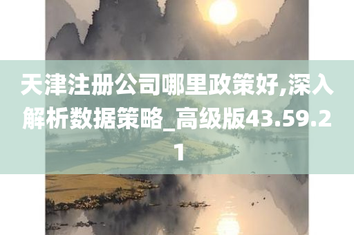 天津注册公司哪里政策好,深入解析数据策略_高级版43.59.21