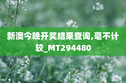 新澳今晚开奖结果查询,毫不计较_MT294480