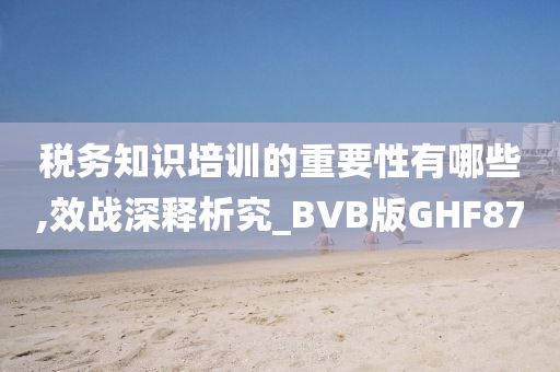 税务知识培训的重要性有哪些,效战深释析究_BVB版GHF87