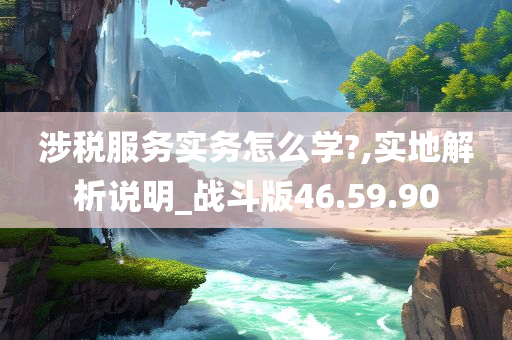 涉税服务实务怎么学?,实地解析说明_战斗版46.59.90