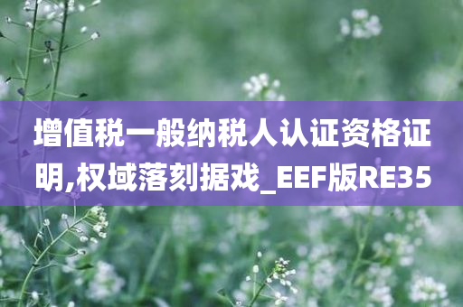 增值税一般纳税人认证资格证明,权域落刻据戏_EEF版RE35