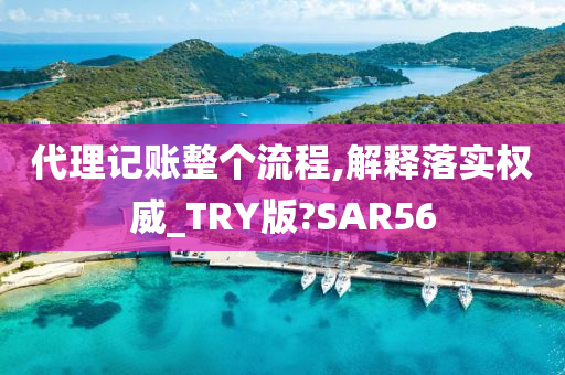 代理记账整个流程,解释落实权威_TRY版?SAR56