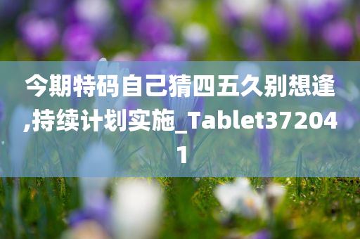 今期特码自己猜四五久别想逢,持续计划实施_Tablet372041