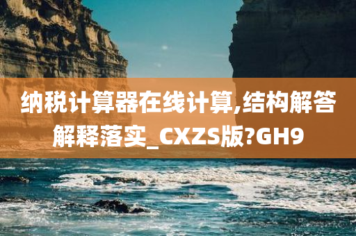 纳税计算器在线计算,结构解答解释落实_CXZS版?GH9