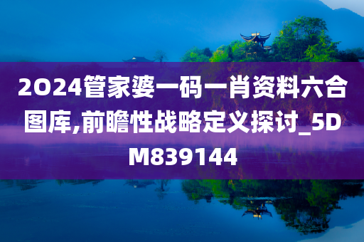 2O24管家婆一码一肖资料六合图库,前瞻性战略定义探讨_5DM839144