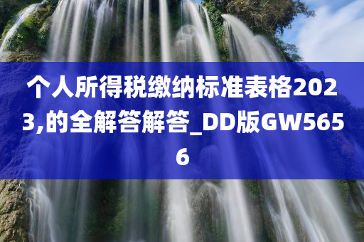 个人所得税缴纳标准表格2023,的全解答解答_DD版GW5656