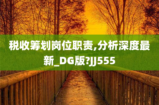 税收筹划岗位职责,分析深度最新_DG版?JJ555