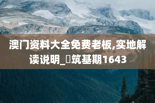 澳门资料大全免费老板,实地解读说明_‌筑基期1643