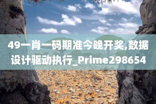 49一肖一码期准今晚开奖,数据设计驱动执行_Prime298654