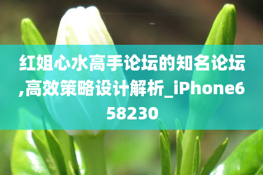 红姐心水高手论坛的知名论坛,高效策略设计解析_iPhone658230