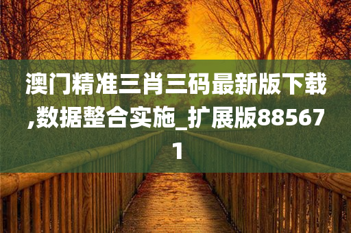 澳门精准三肖三码最新版下载,数据整合实施_扩展版885671