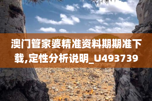 澳门管家婆精准资料期期准下载,定性分析说明_U493739