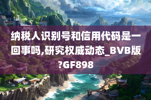 纳税人识别号和信用代码是一回事吗,研究权威动态_BVB版?GF898