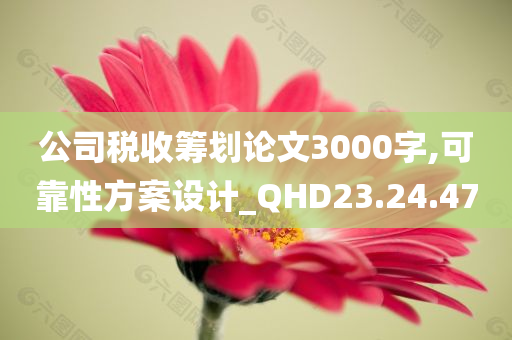 公司税收筹划论文3000字,可靠性方案设计_QHD23.24.47