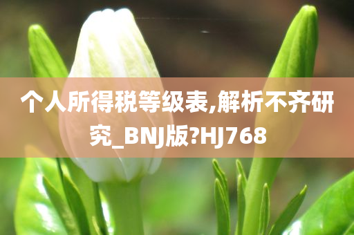 个人所得税等级表,解析不齐研究_BNJ版?HJ768