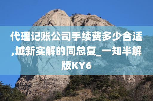 代理记账公司手续费多少合适,域新实解的同总复_一知半解版KY6