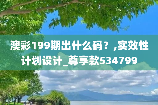 澳彩199期出什么码？,实效性计划设计_尊享款534799