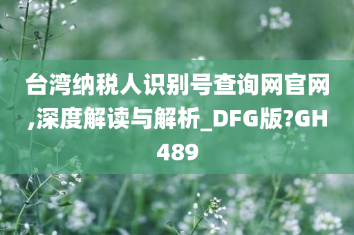 台湾纳税人识别号查询网官网,深度解读与解析_DFG版?GH489