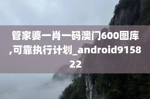 管家婆一肖一码澳门600图库,可靠执行计划_android915822