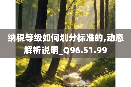 纳税等级如何划分标准的,动态解析说明_Q96.51.99