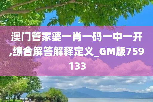 澳门管家婆一肖一码一中一开,综合解答解释定义_GM版759133