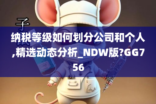 纳税等级如何划分公司和个人,精选动态分析_NDW版?GG756