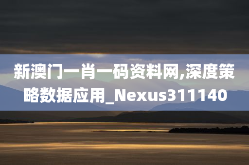 新澳门一肖一码资料网,深度策略数据应用_Nexus311140