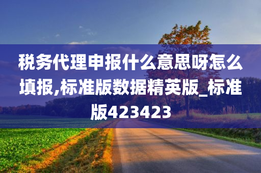 税务代理申报什么意思呀怎么填报,标准版数据精英版_标准版423423