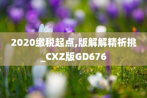 2020缴税起点,版解解精析挑_CXZ版GD676