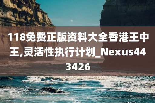 118免费正版资料大全香港王中王,灵活性执行计划_Nexus443426