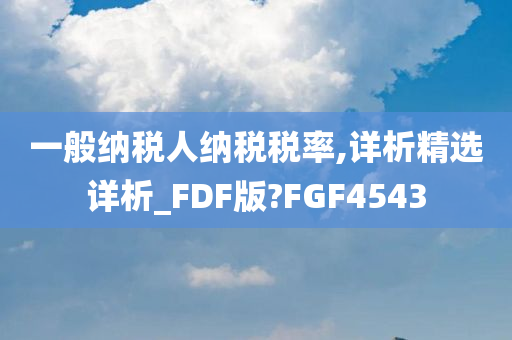 一般纳税人纳税税率,详析精选详析_FDF版?FGF4543