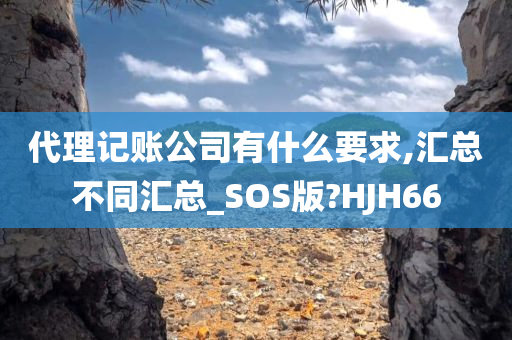 代理记账公司有什么要求,汇总不同汇总_SOS版?HJH66