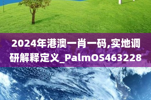 2024年港澳一肖一码,实地调研解释定义_PalmOS463228