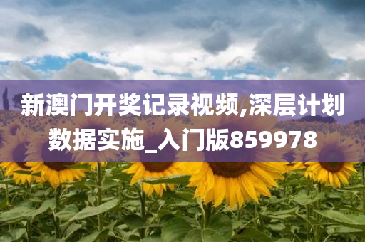 新澳门开奖记录视频,深层计划数据实施_入门版859978