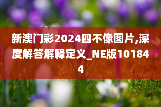 新澳门彩2024四不像图片,深度解答解释定义_NE版101844