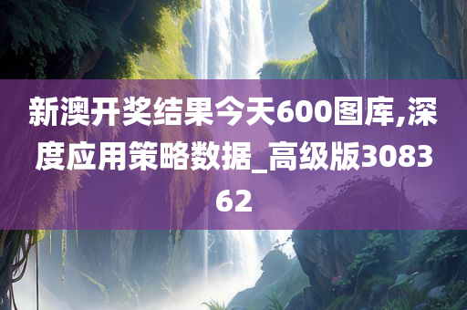 新澳开奖结果今天600图库,深度应用策略数据_高级版308362