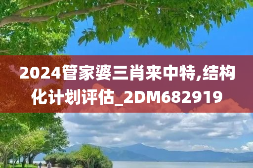 2024管家婆三肖来中特,结构化计划评估_2DM682919