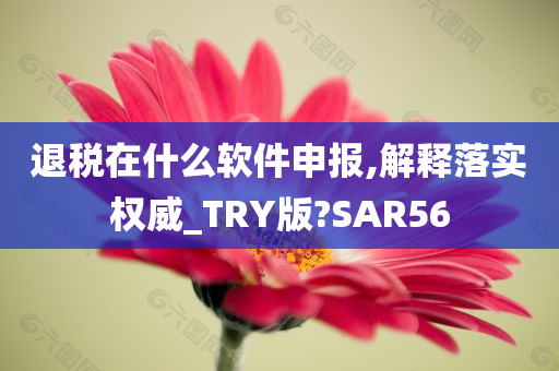 退税在什么软件申报,解释落实权威_TRY版?SAR56