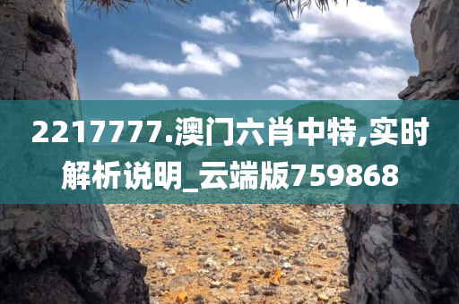 2217777.澳门六肖中特,实时解析说明_云端版759868