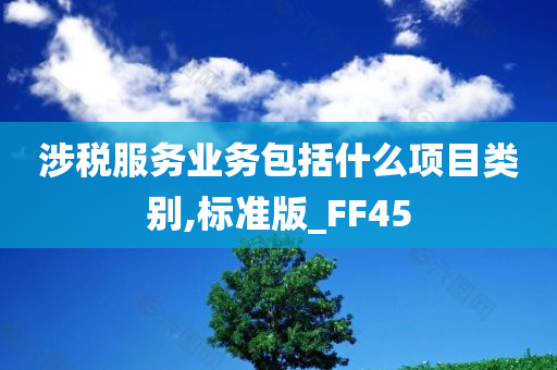 涉税服务业务包括什么项目类别,标准版_FF45