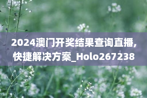 2024澳门开奖结果查询直播,快捷解决方案_Holo267238