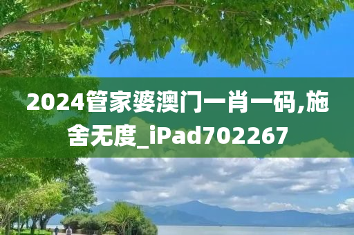 2024管家婆澳门一肖一码,施舍无度_iPad702267