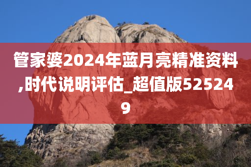 管家婆2024年蓝月亮精准资料,时代说明评估_超值版525249